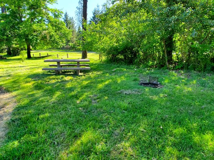 site 10 picnic table and fire ring