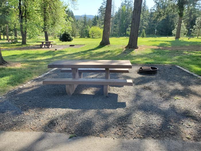 site 18 picnic table and fire ring