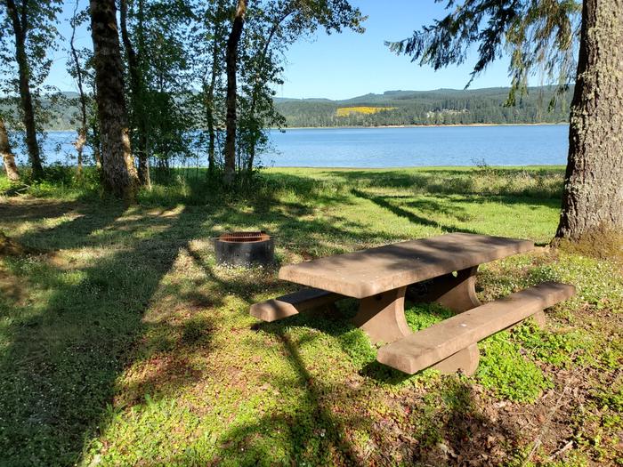 site 25 picnic table and fire ring