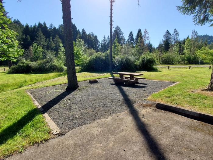 site 29 picnic table and fire ring