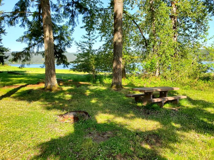 site 39 picnic table and fire ring
