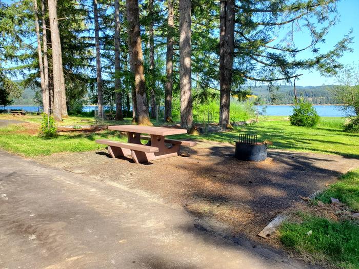 site 61 picnic table and fire ring