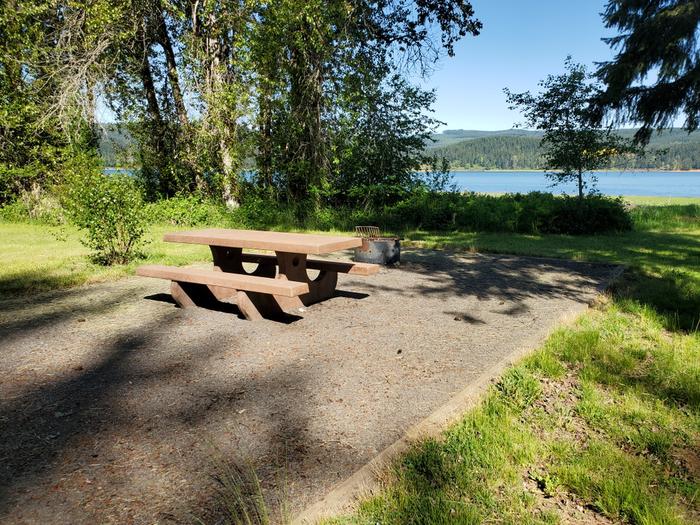site 67 picnic table and fire ring