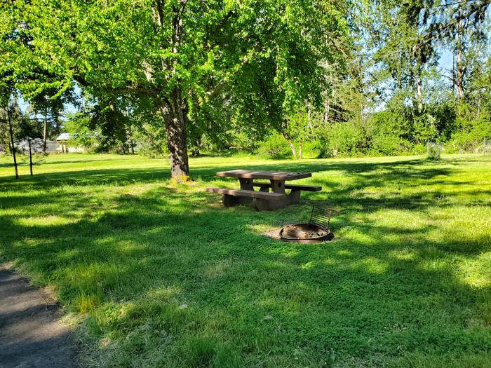 site 71 picnic table and fire ring
