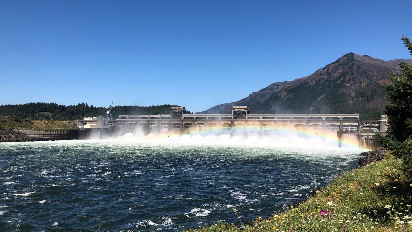 Bonneville Dam releasing water and causing a rainbowRainbow spanning Bonneville Dam