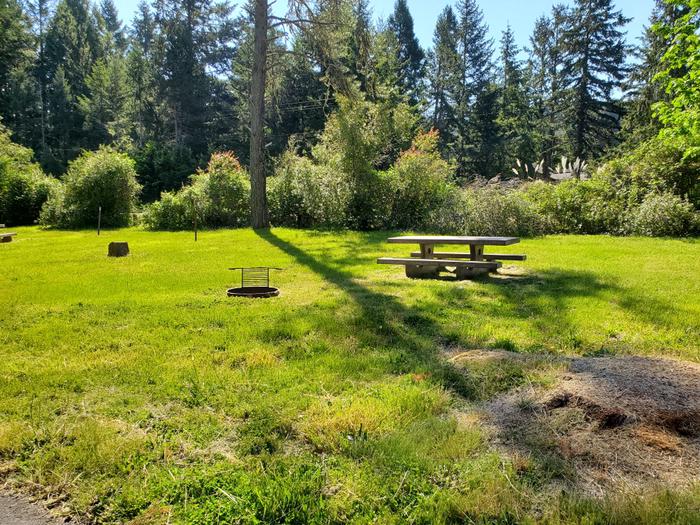 site 77 picnic table and fire ring