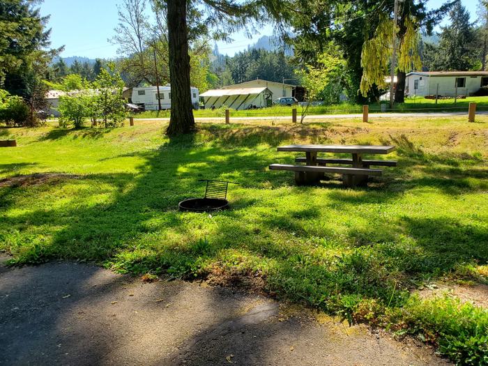 site 86 picnic table and fire ring