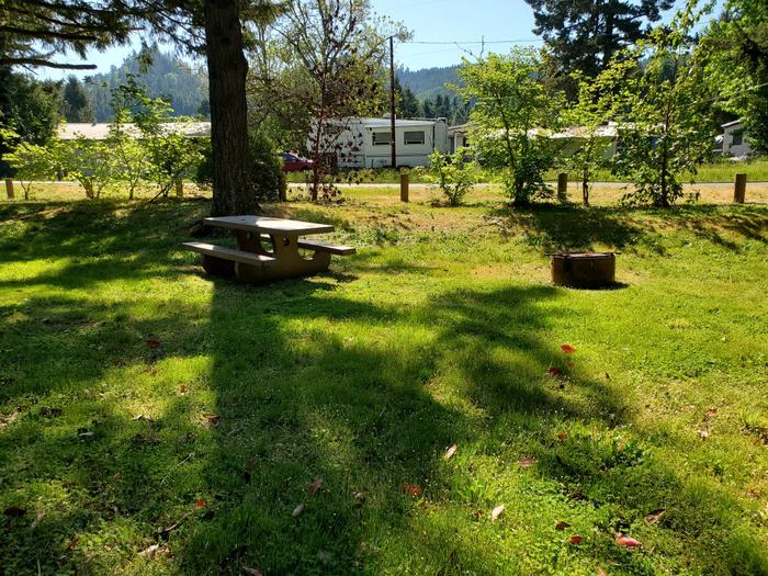 site 88 picnic table and fire ring