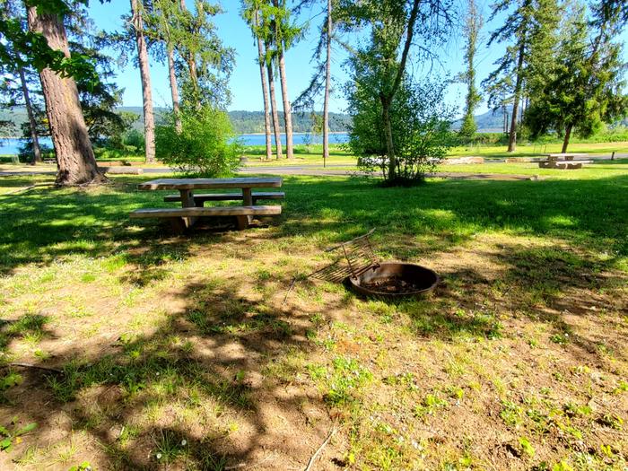 site 92 picnic table and fire ring 