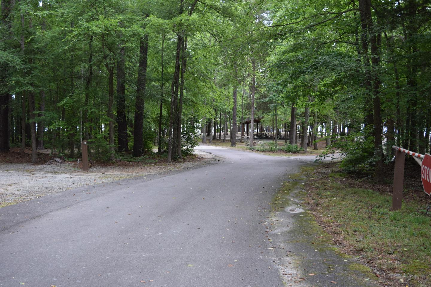 Piney Woods Group Camping Area Main EntranceWelcome to Piney Woods Group Camping Area! This is a picture of the main entrance. Piney Woods is typically gated when not in use. If you have Piney Woods reserved and the gate is closed please call the gate house to get a ranger to come open the gates for you. 