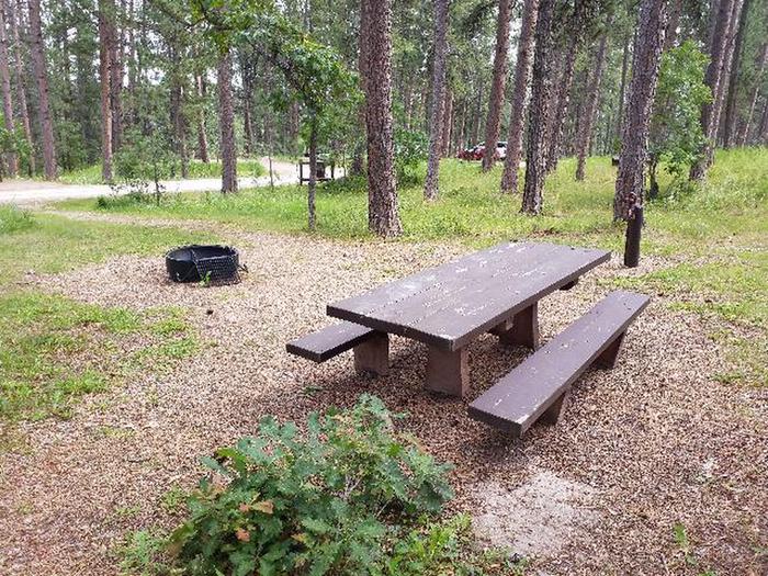 Site 2 Picnic Table