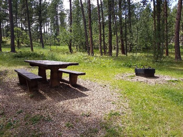 Site 3 Picnic Table