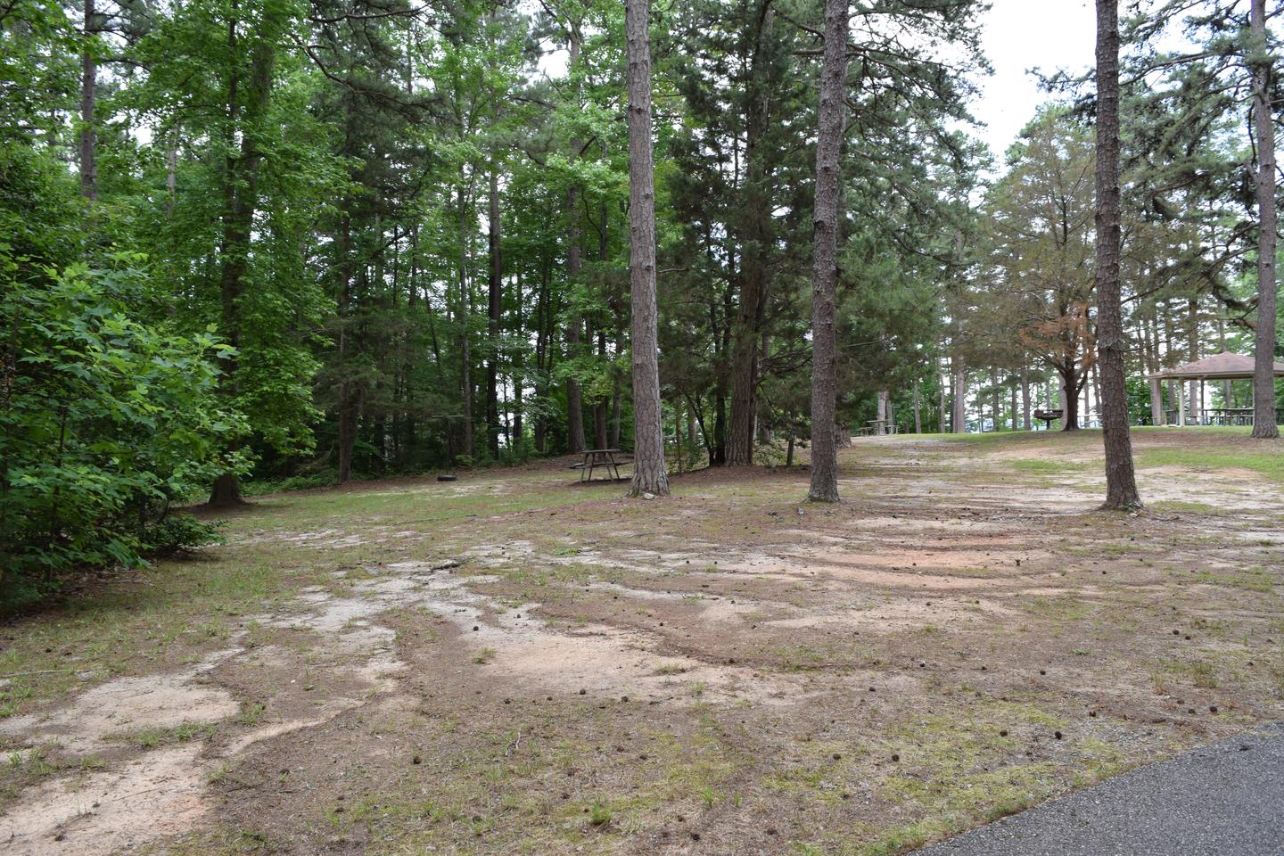 Mays Chapel Group Camping Area Welcome to Mays Chapel Group Camping Area! This is a picture of some of the picnic tables in the area. There are no designated spots for tents to set up in this group camping area. 