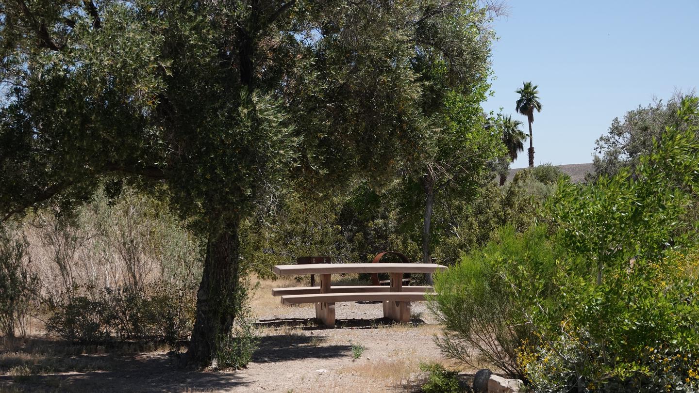 LVB HeroLas Vegas Bay Campground offers shade trees and an enjoyable camping experience away from the lights of the city.