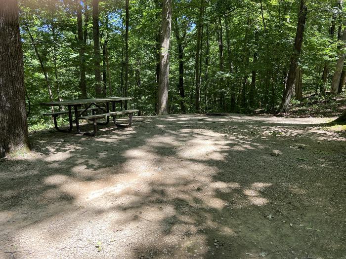 Small picnic and campfire area next to ravine