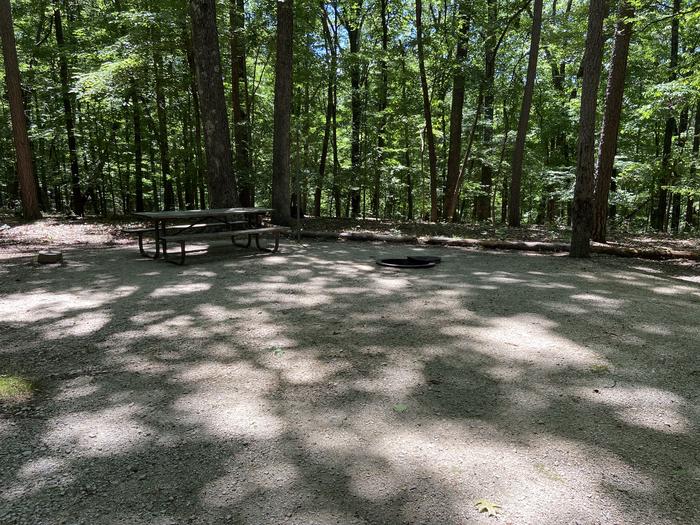 Large area for picnic table and campfire 
