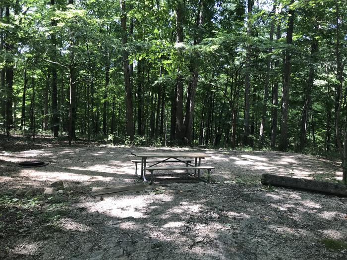  Four steps down to a beautiful tent pad and area to sit around your campfire ring
