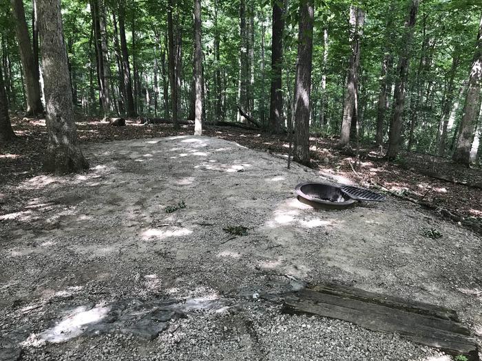 Four steps or a gentle slope down to a nice tent pad campfire area