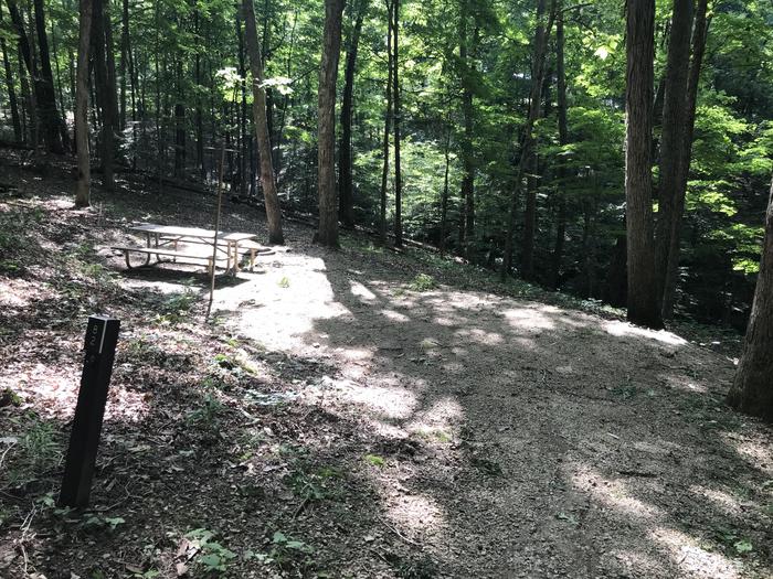 A walk-in site at the end of the loop with beautiful woods views