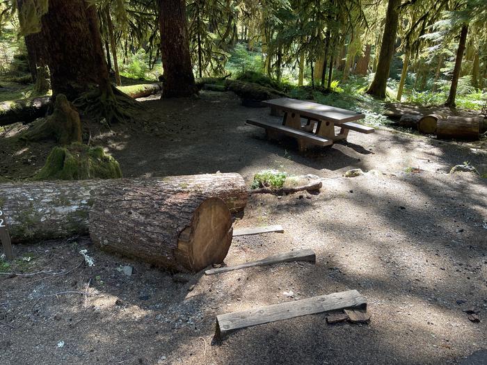 Picnic bench and fire pit