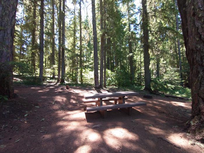 Site 8 Picnic table and fire ring
