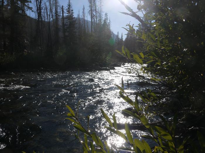 River near Cascade Campground