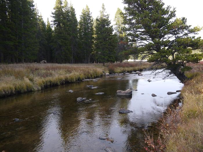 River next to Pine Island Group Area
