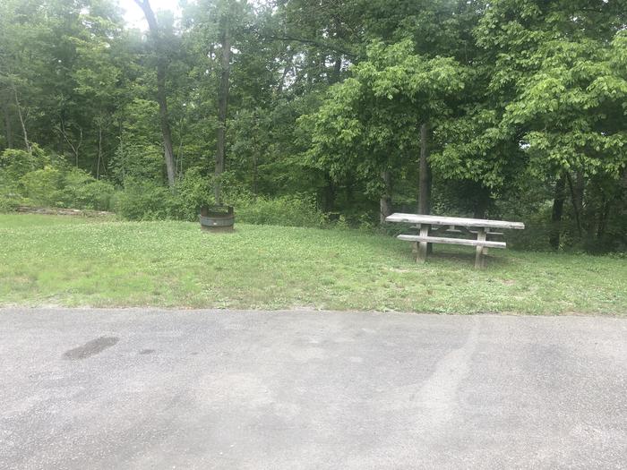 A photo of Site 015 of Loop White Oak at OAK HILL - LAKE VESUVIUS with Picnic Table, Fire Pit