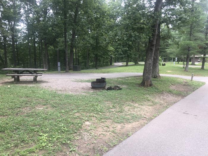 A photo of Site 017 of Loop White Oak at OAK HILL - LAKE VESUVIUS with Picnic Table, Electricity Hookup, Water Hookup