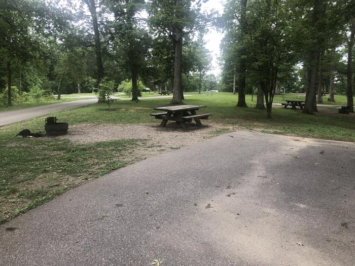 A photo of Site 017 of Loop White Oak at OAK HILL - LAKE VESUVIUS with Picnic Table, Fire Pit