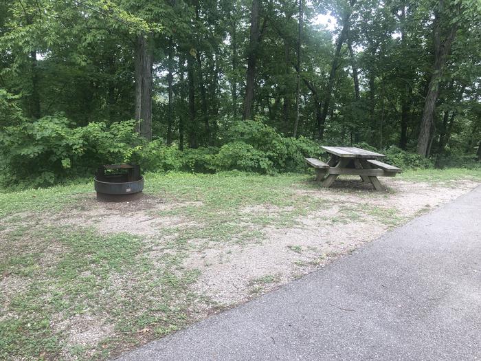 A photo of Site 013 of Loop Post Oak at OAK HILL - LAKE VESUVIUS with Picnic Table, Fire Pit