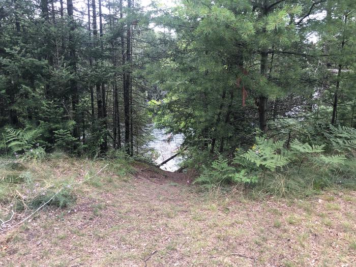 A photo of Site 010W of Loop Ausable Semi-Primitive North at AUSABLE RIVER CAMPING with No Amenities Shown