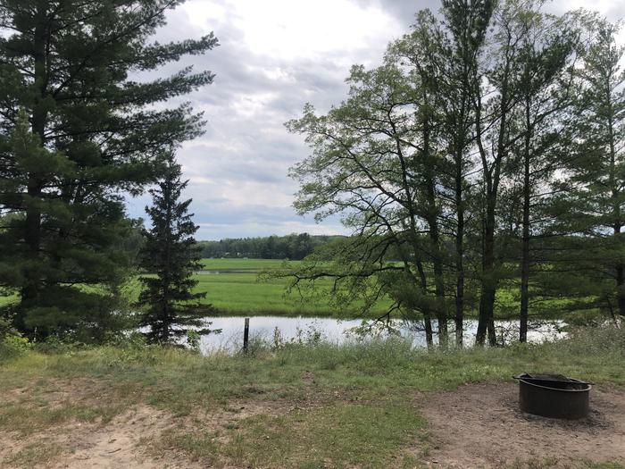 A photo of Site 007D of Loop Alcona Pond at AUSABLE RIVER CAMPING with Fire Pit, Waterfront