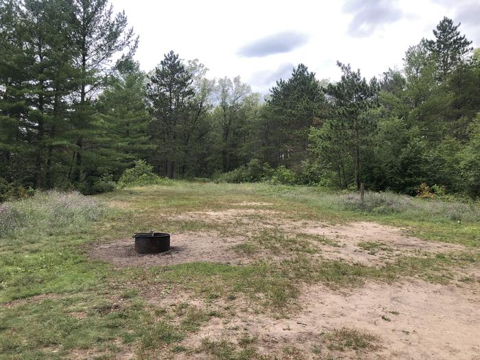 A photo of Site 007D of Loop Alcona Pond at AUSABLE RIVER CAMPING with Fire Pit
