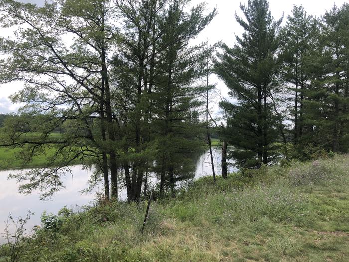 A photo of Site 007D of Loop Alcona Pond at AUSABLE RIVER CAMPING with Waterfront