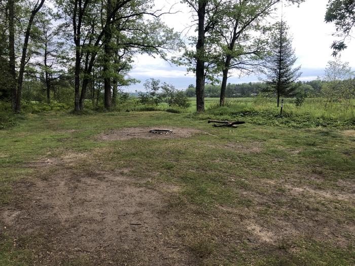 A photo of Site 006D of Loop Alcona Pond at AUSABLE RIVER CAMPING with Fire Pit, Waterfront