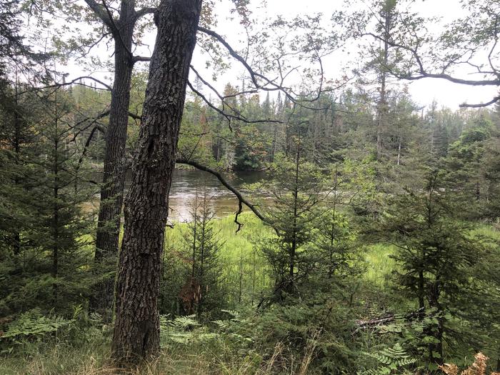 A photo of Site 008W of Loop Ausable Semi-Primitive North at AUSABLE RIVER CAMPING with No Amenities Shown