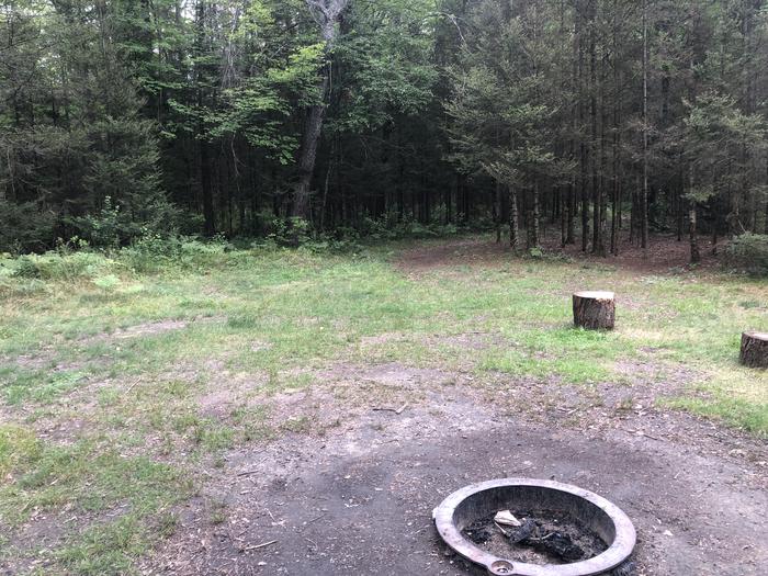 A photo of Site 008W of Loop Ausable Semi-Primitive North at AUSABLE RIVER CAMPING with Fire Pit