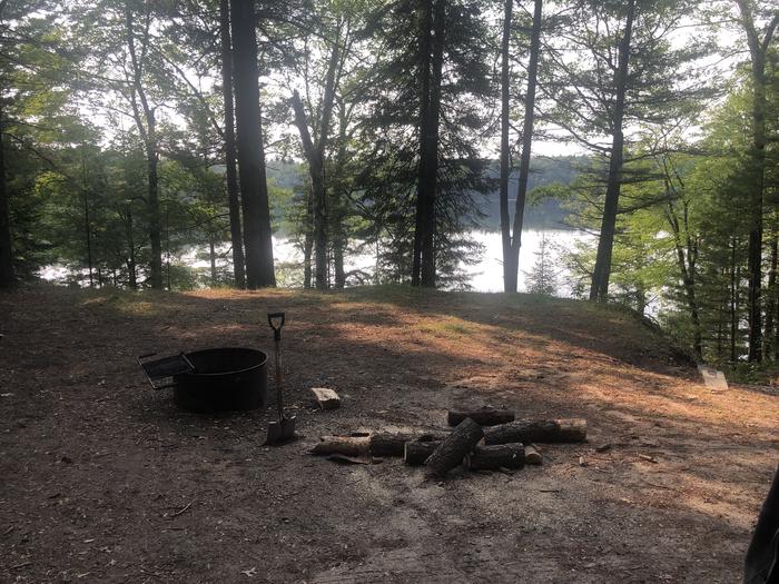 A photo of Site 091D of Loop Foote Pond at AUSABLE RIVER CAMPING with Fire Pit