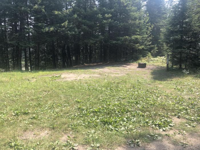 A photo of Site 076D of Loop Foote Pond at AUSABLE RIVER CAMPING with Fire Pit
