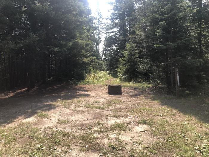 A photo of Site 076D of Loop Foote Pond at AUSABLE RIVER CAMPING with Fire Pit