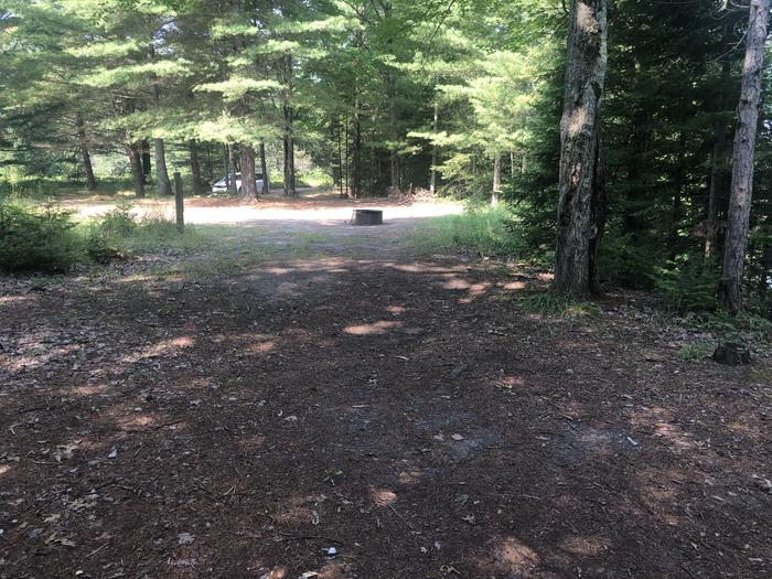 A photo of Site 077D of Loop Foote Pond at AUSABLE RIVER CAMPING with Fire Pit