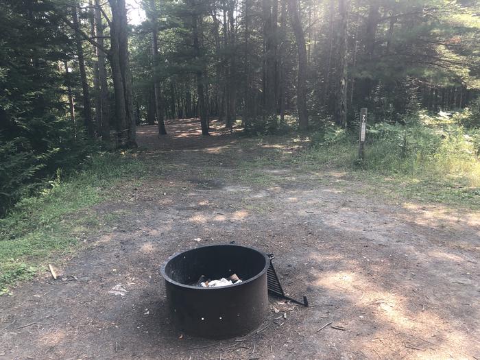 A photo of Site 077D of Loop Foote Pond at AUSABLE RIVER CAMPING with Fire Pit, Shade