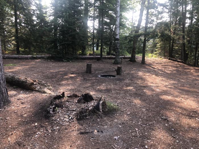 A photo of Site 085W of Loop Foote Pond at AUSABLE RIVER CAMPING with Fire Pit, Shade