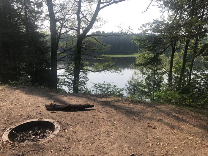 A photo of Site 087W of Loop Foote Pond at AUSABLE RIVER CAMPING with Fire Pit