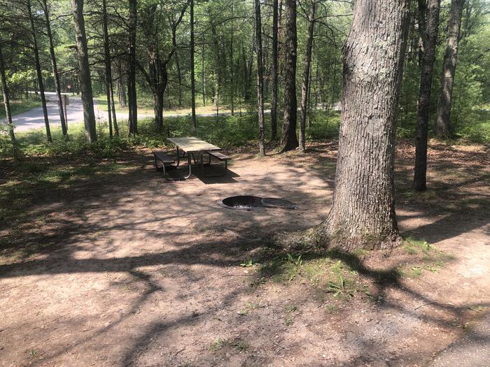 A photo of Site 04 of Loop ROUND LAKE at ROUND LAKE with Picnic Table, Fire Pit