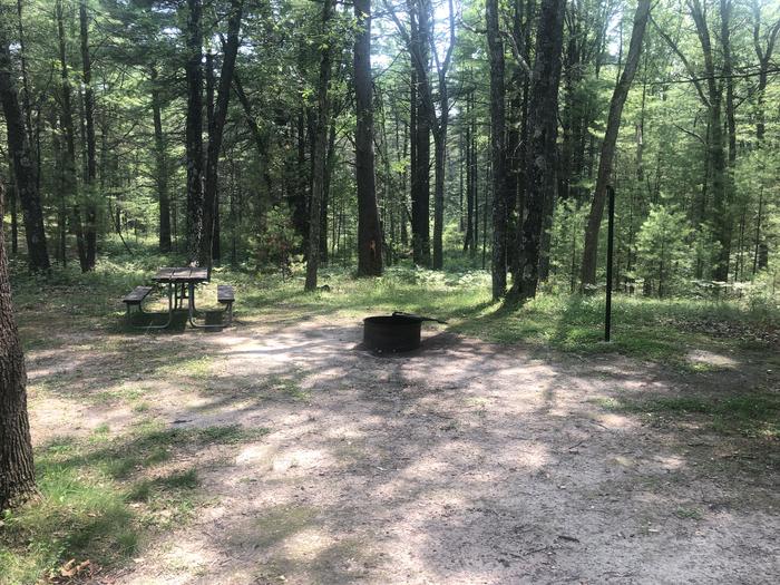 A photo of Site 01 of Loop ROUND LAKE at ROUND LAKE with Picnic Table, Fire Pit, Lantern Pole