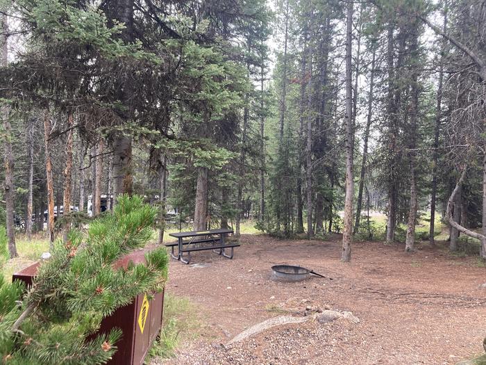 A photo of Site 318 of Loop O at Colter Bay Campground with Picnic Table, Fire Pit, Food Storage