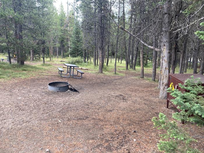 A photo of Site 340 of Loop O at Colter Bay Campground with Picnic Table, Fire Pit, Food Storage