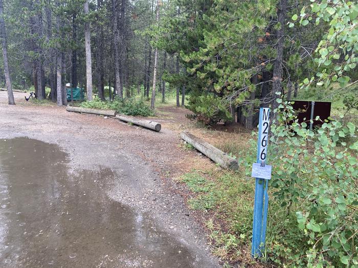 A photo of Site 266 of Loop M at Colter Bay Campground with Picnic Table, Fire Pit, Food Storage